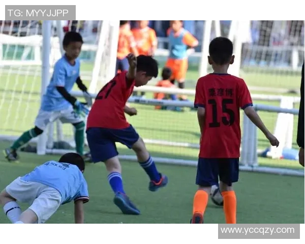 被忽视的绿茵英雄：那些最被低估的足球明星们的故事与成就