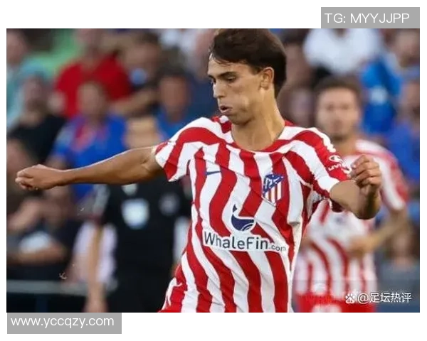 足球明星女友曝光私密视频引发热议网友热评不断引关注