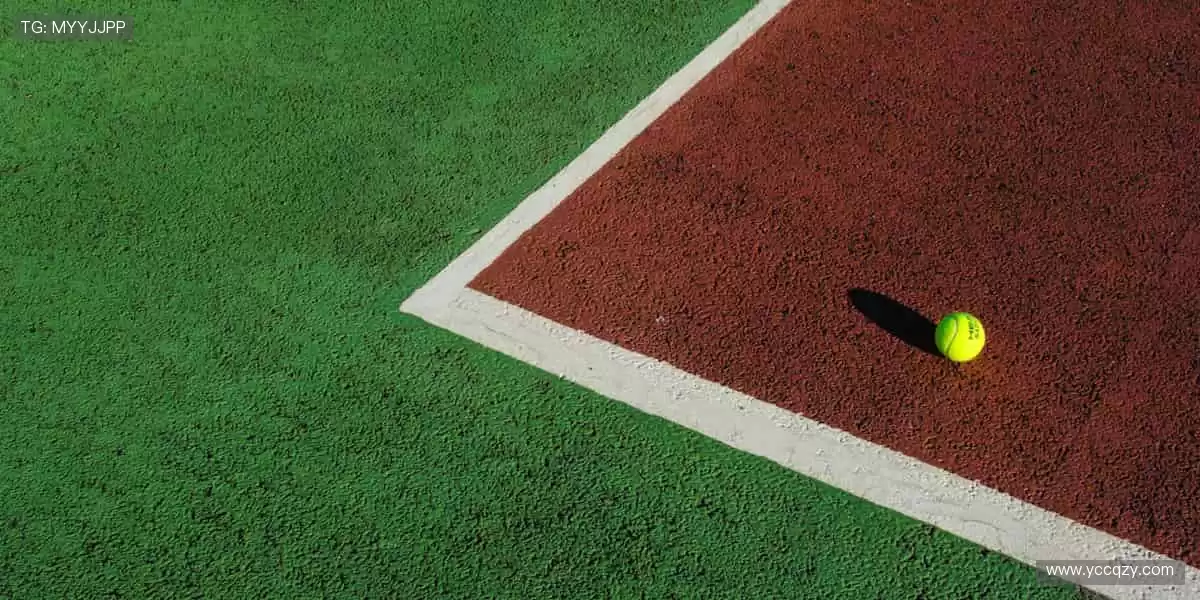 ✨ 下一个冠军，从点击开始！