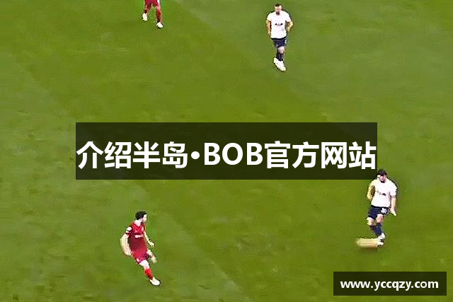 介绍半岛·BOB官方网站